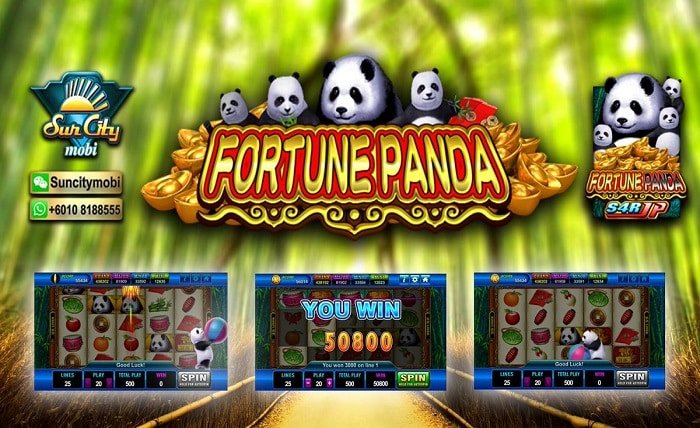 fortune coins free $8 dollars hack