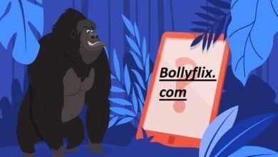 bollyflix. com