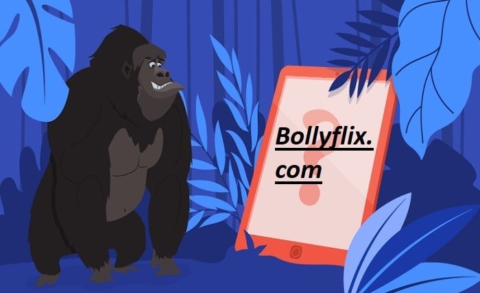 bollyflix. com