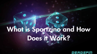 sportzino casino payout